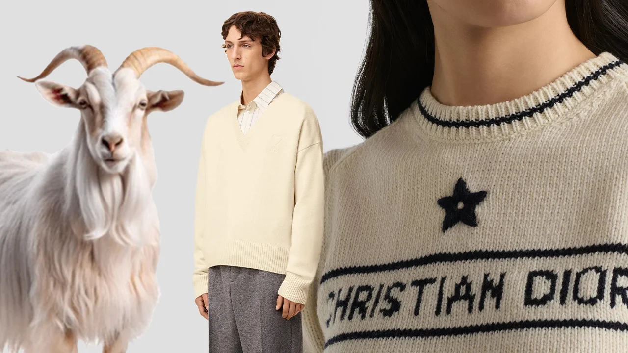 ทำไมผ้า Cashmere ถึงแพง เจาะลึกวิธีดูแล Luxury Fabric 