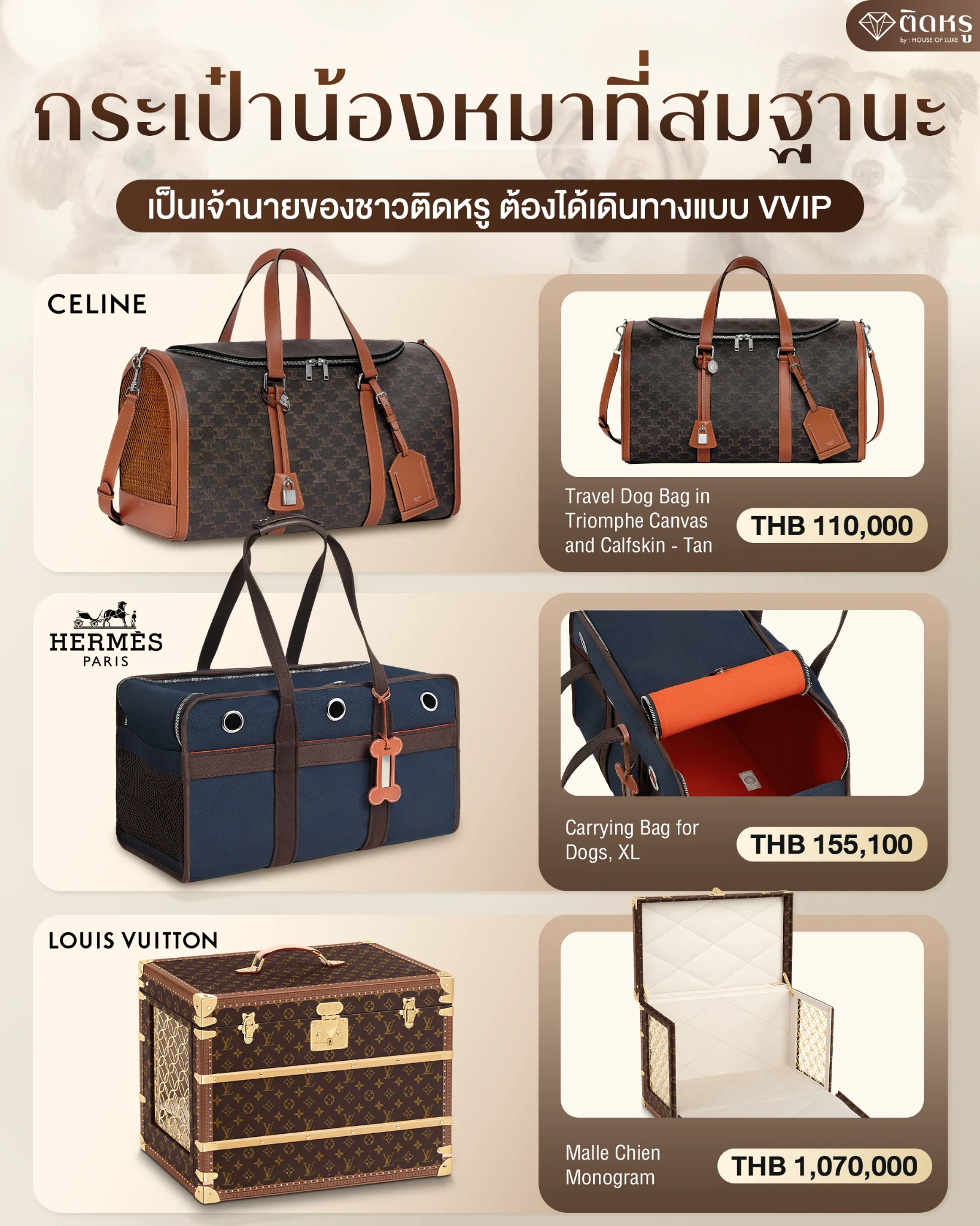น้องหมาเดินทางแบบ VVIP ในกระเป๋าแบรนด์เนมดีไซน์หรู