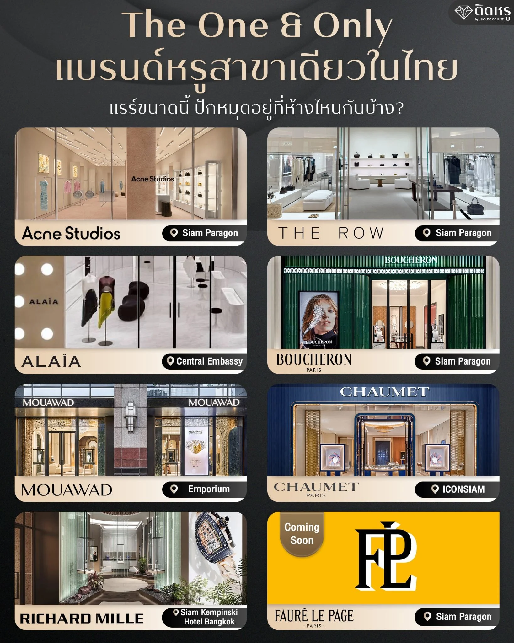 atalog layout showcasing the one and only brand store Bangkok guide for collectors