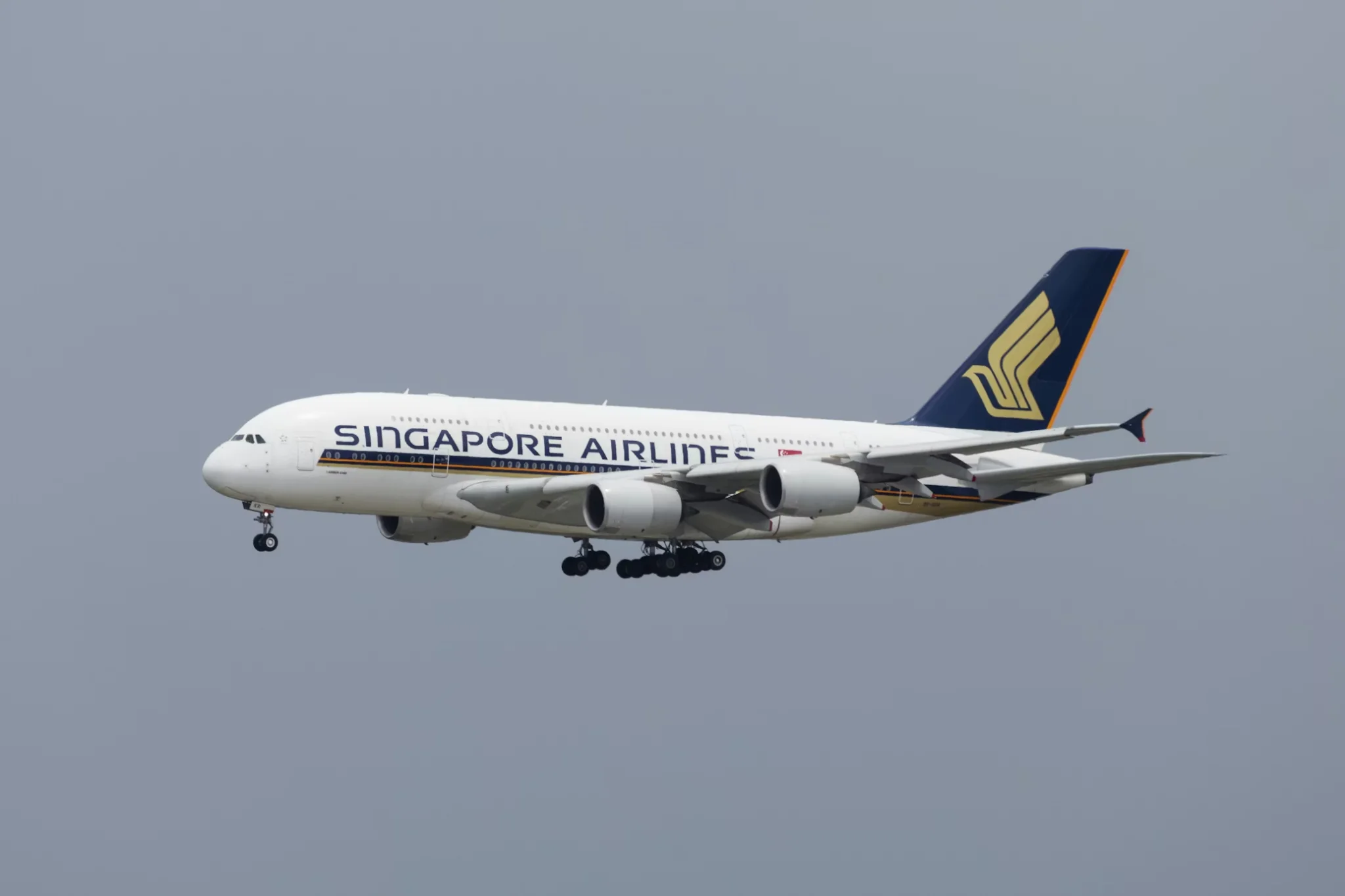 Singapore Airlines กวาดรายได้และกำไรหลักทำสถิติสูงสุด