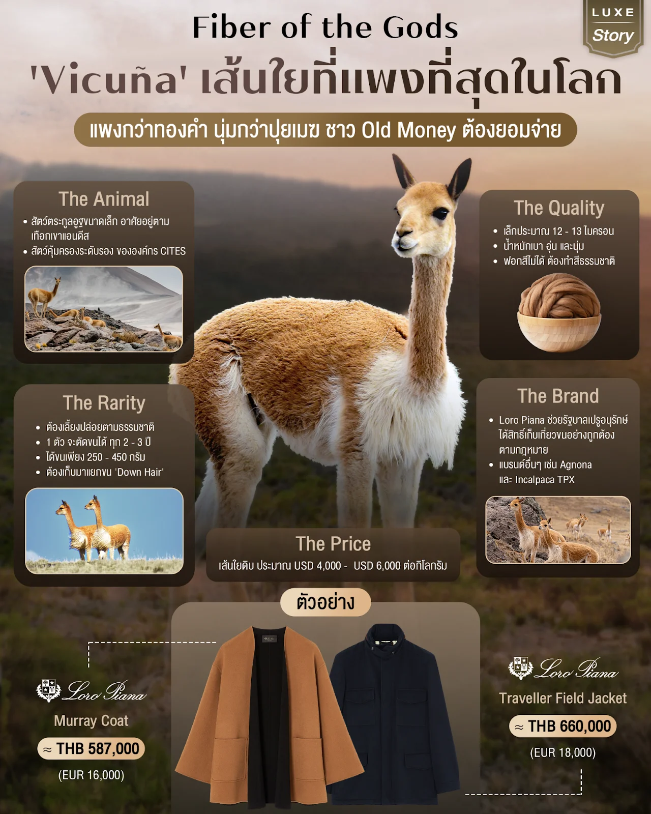 Fiber of the Gods: 'Vicu&ntilde;a' The World's Most Expensive